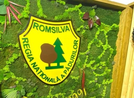 Reforma Romsilva