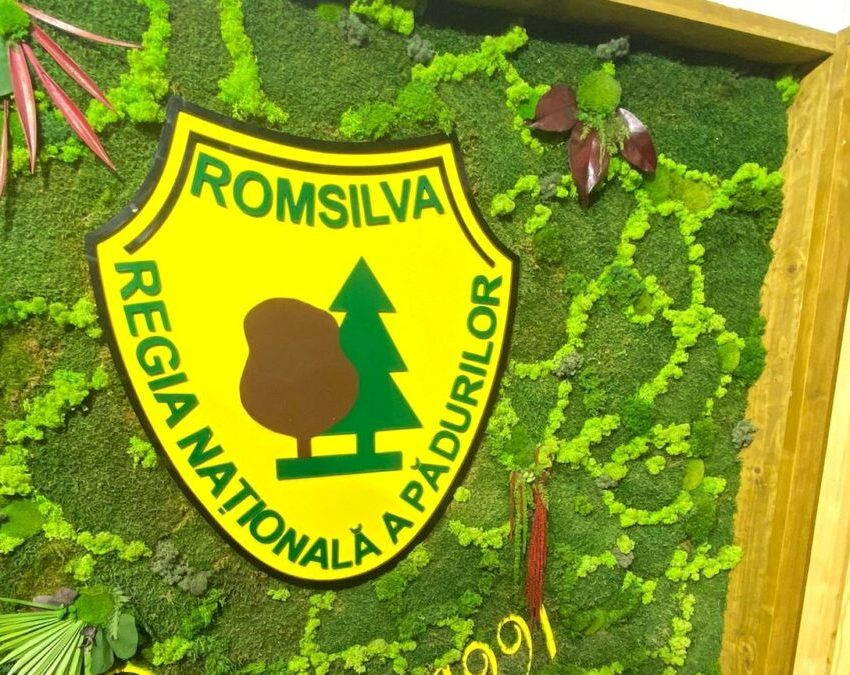 Reforma Romsilva