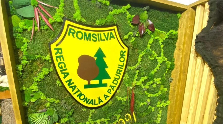 Reforma Romsilva