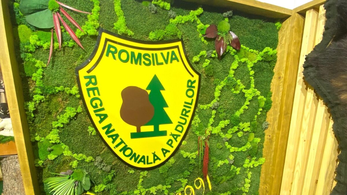 Reforma Romsilva