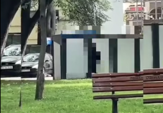 exhibiționism lângă un parc din Iași